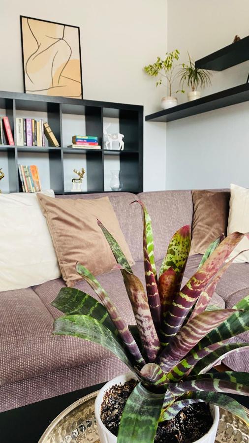 Apartment Mira Ruzomberok Dış mekan fotoğraf